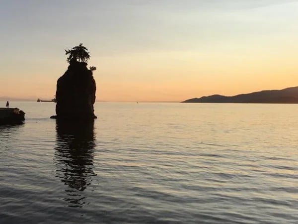 Stanley Park gems and Downtown - Private tour
