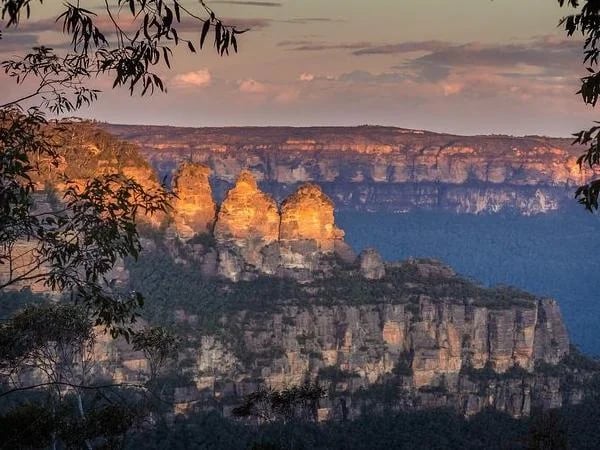 Blue Mountains & Kangaroo/Koala Experience, Private tour from Sydney