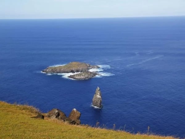 Birdman and Inland Gems Full-Day Tour