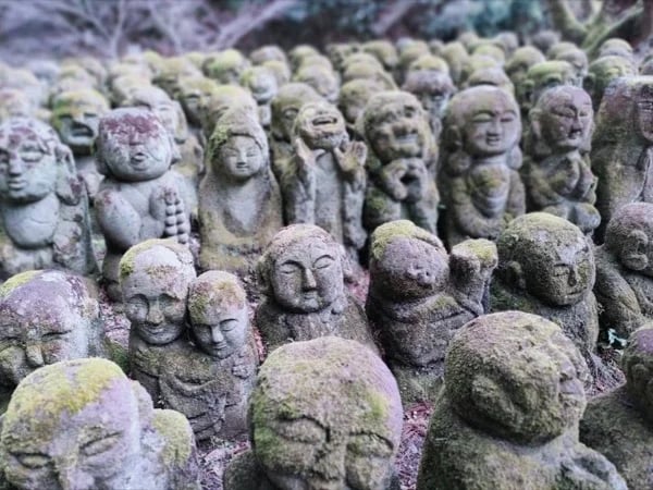 Hidden Arashiyama nature (Kyoto Half day tour)