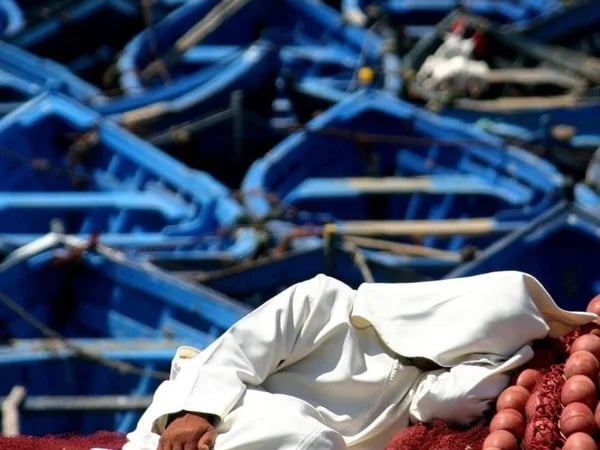 Essaouira Day Trip
