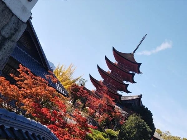 Hiroshima-Miyajima full day walking tour