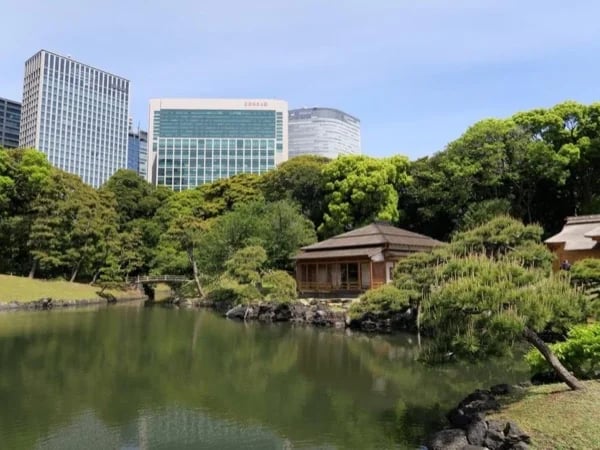 1st Time in Tokyo - Private Tour with a Photographer