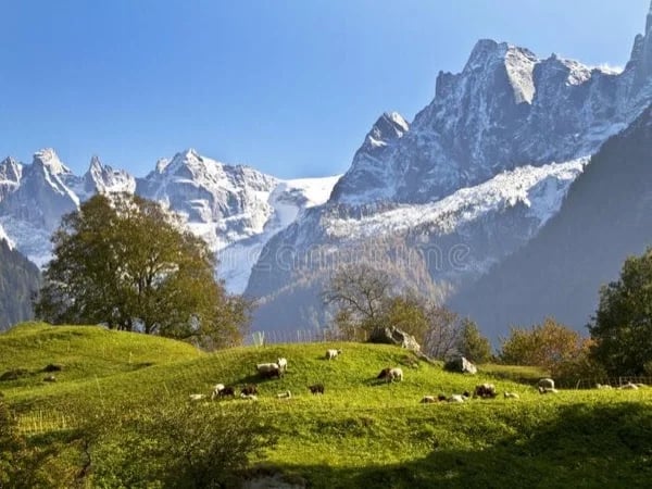 Unforgettable Swiss Alps & Country Side