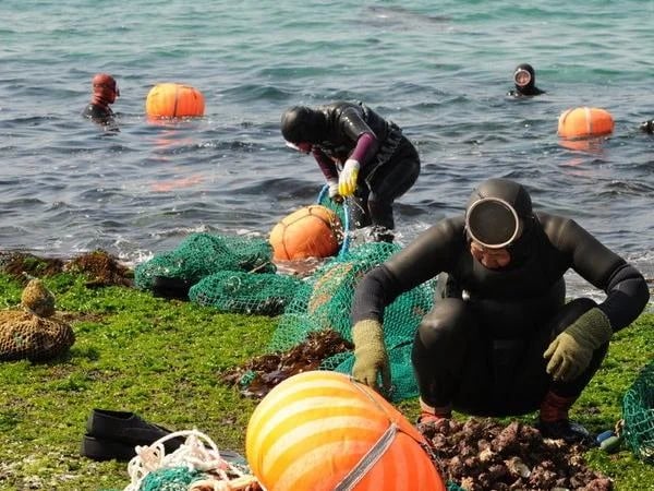 Haenyeo Exploration Tour in jeju
