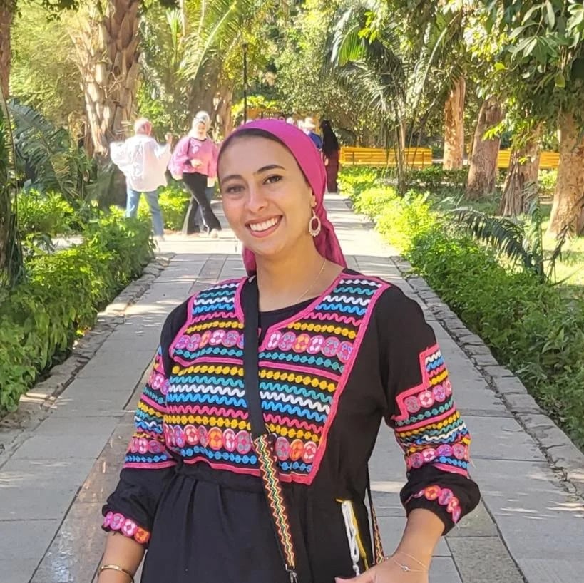 Alaa N.