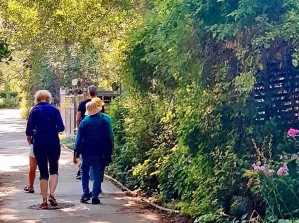 Toronto Island Walking Tour #2
