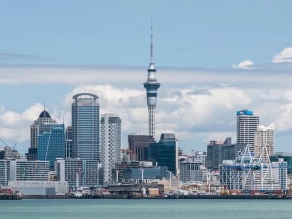 Highlight of Auckland, Friendly and Expert to spend a day in Auckland.