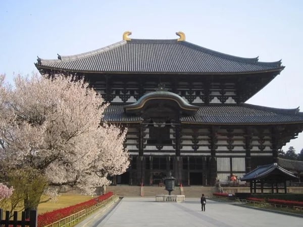 Nara Classic Private Tour (Full Day)