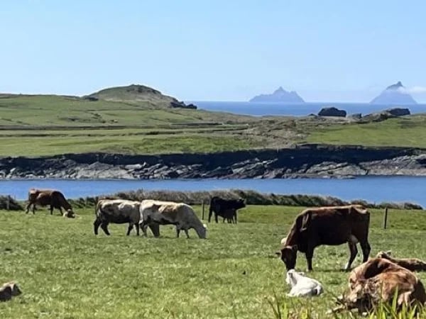 Ring of Kerry, Valentia Island and Skellig Ring