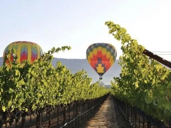 Sonoma & the Russian River Valley