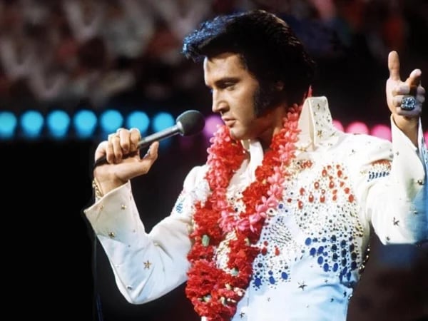 Nashville to Memphis Private Day Trip with VIP Tour of Graceland and More - for Private Parties of 1 to 14 Guests