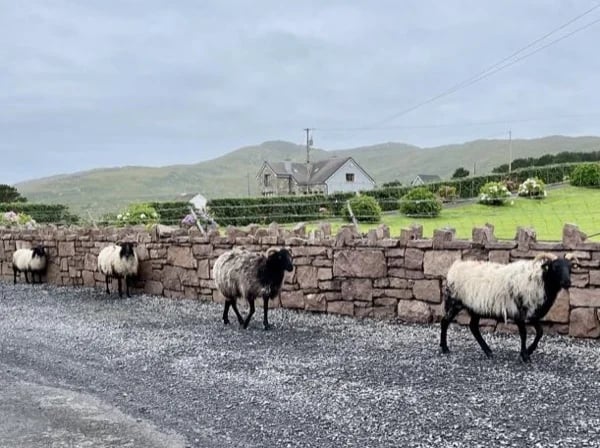 Dublin to Galway transfer day tour