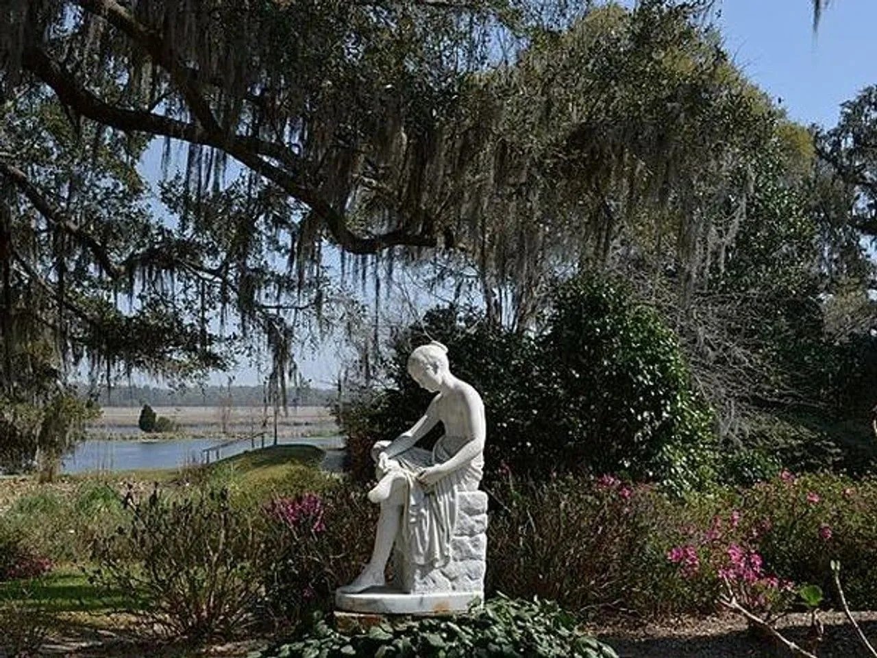 Cover media image