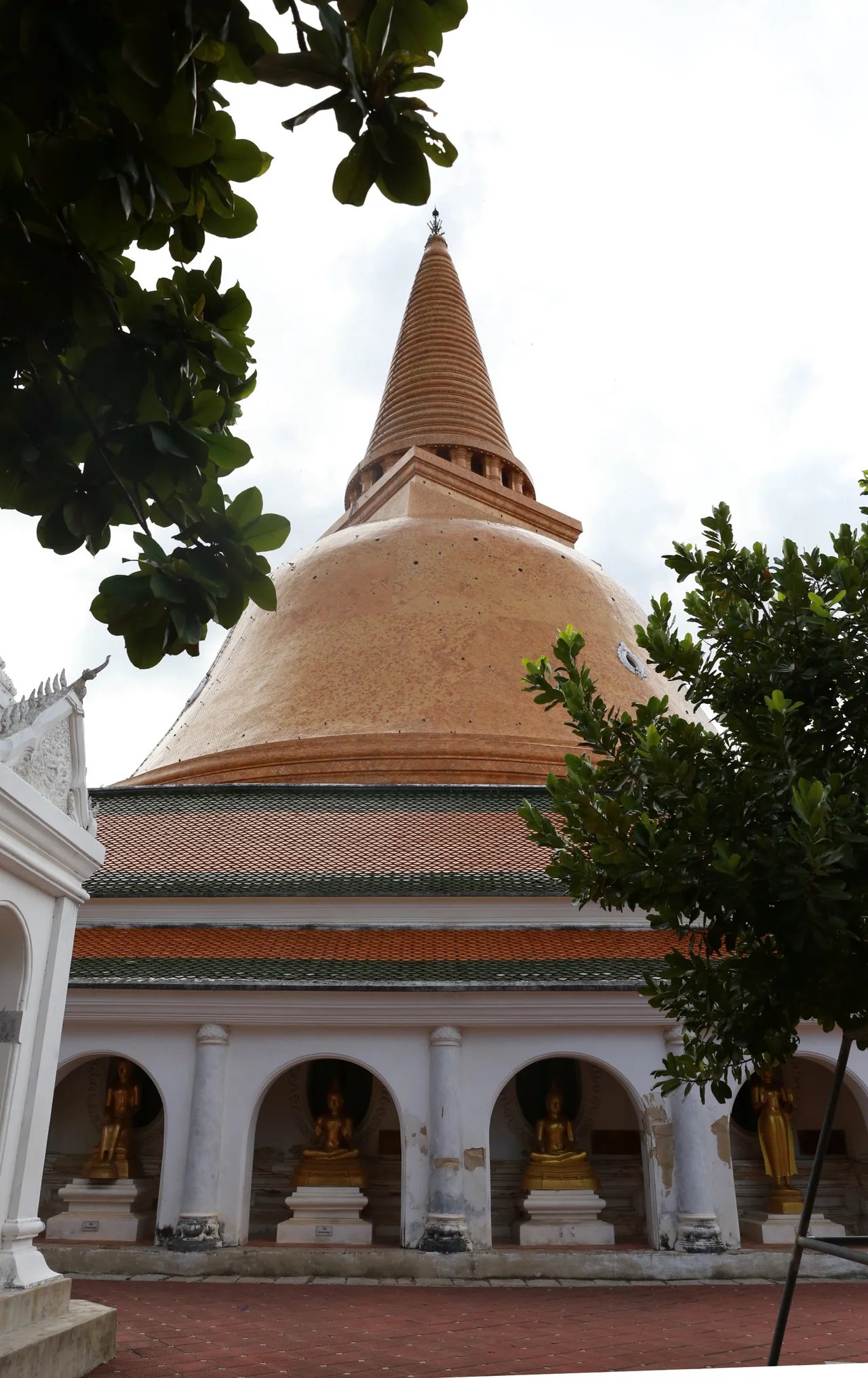 Cover media image